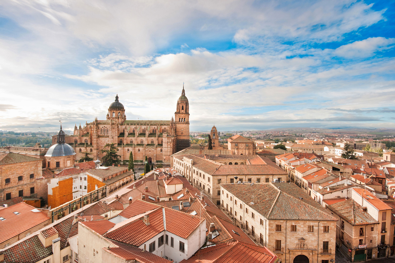 Salamanca Private Tour with Ham Warehouse from Madrid FQEbLfPl