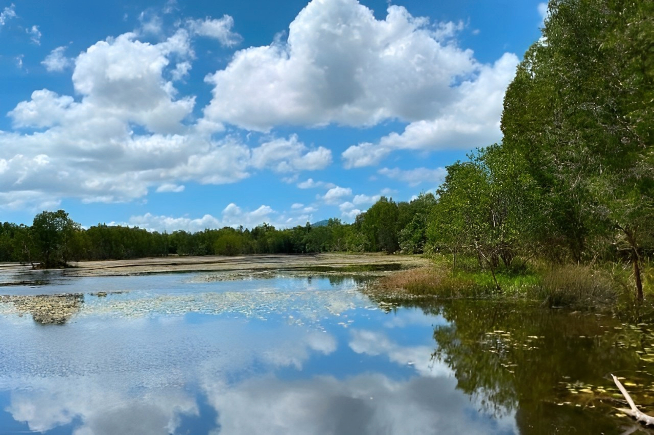 Waterfall, Wetlands, and Skyrail Day Tour from Cairns DvX9SJ1f