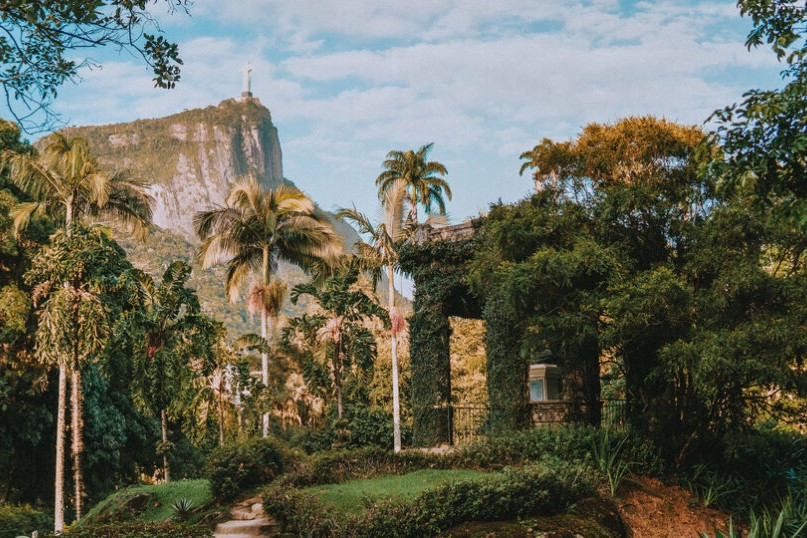 Tijuca Forest and Botanical Garden Tour in Rio de Janeiro WIvcoKBF