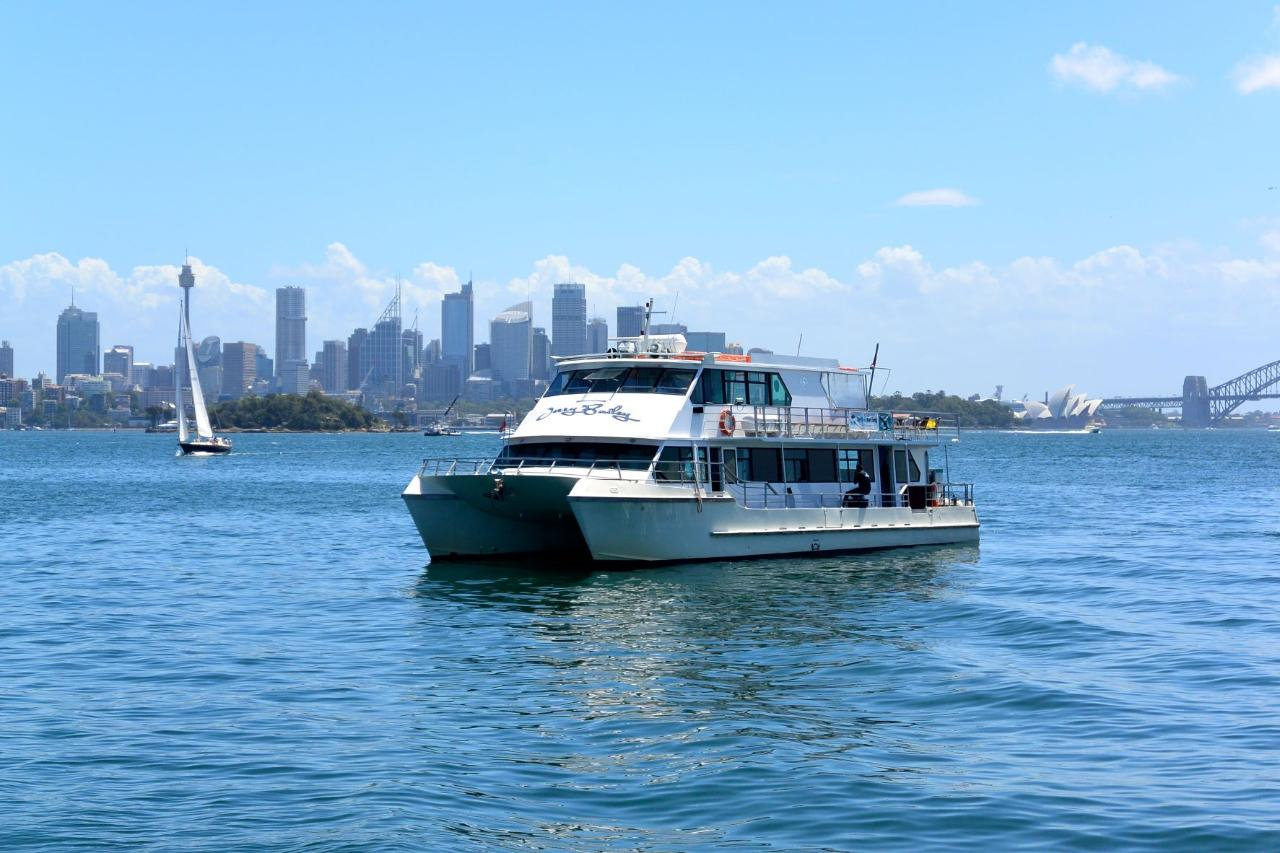[Combo] Morning Sydney Sights Tour and Harbour Lunch Cruise 8zDHkqfs