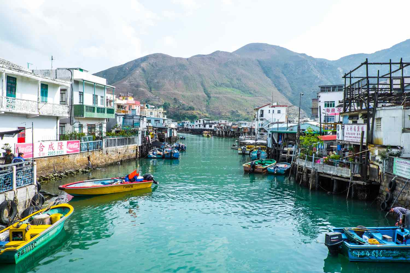 Lantau Island Day Trip | Big Buddha & Dolphin Watching j0Qebp2d