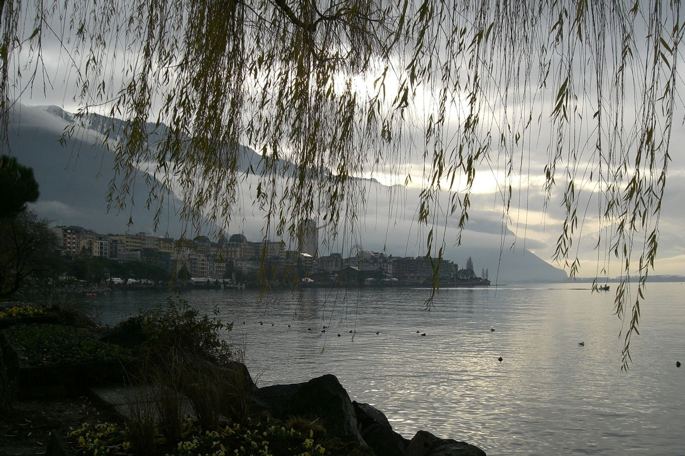 Montreux Private Walking Day Tour EoH3Hnhu