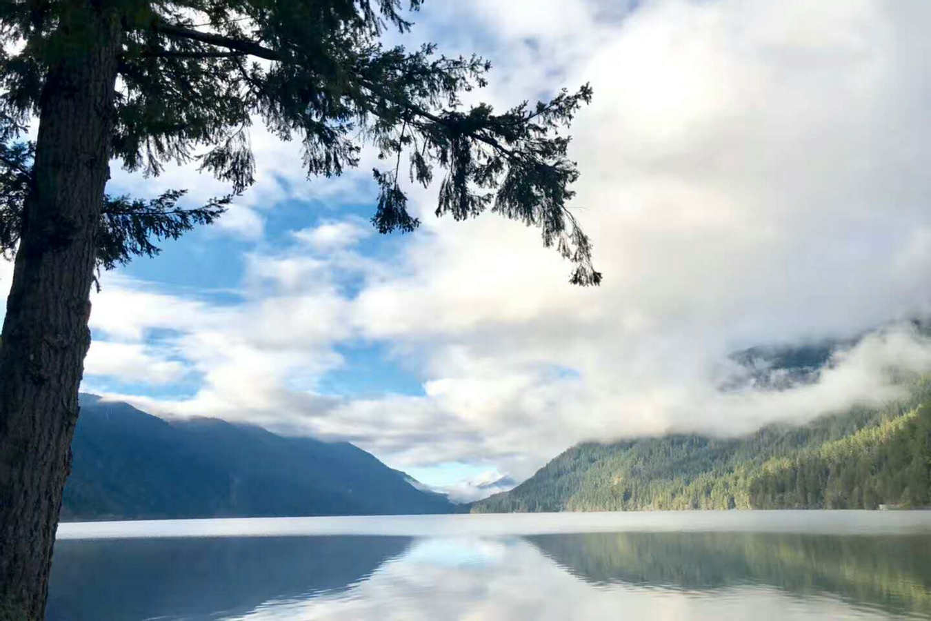 Olympic national park day tour