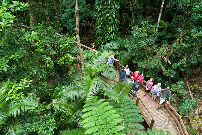 Daintree Rainforest & Cape Tribulation Full Day Tour from Cairns nyFDfVxs-backdrop