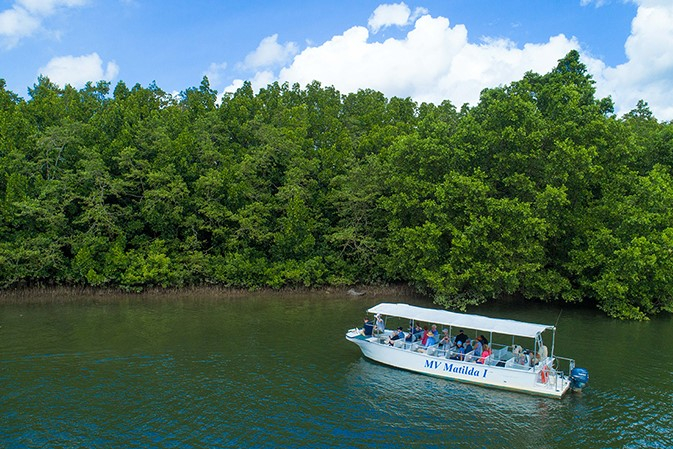 Daintree Rainforest & Cape Tribulation Full Day Tour from Cairns cz5mF8fm