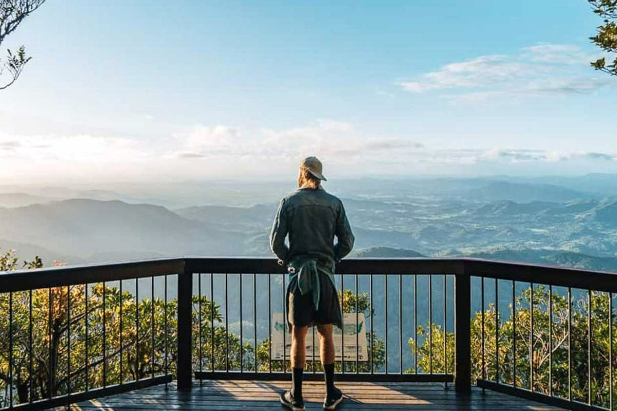 Gold Coast Hinterland Explorer Day Pass 2pFdHtZe-backdrop