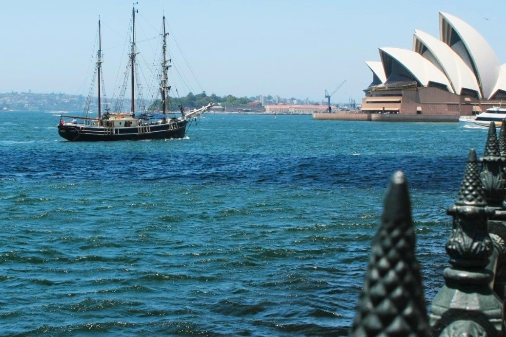 Bondi and Sydney Half Day Sightseeing Tour K08oyuaQ