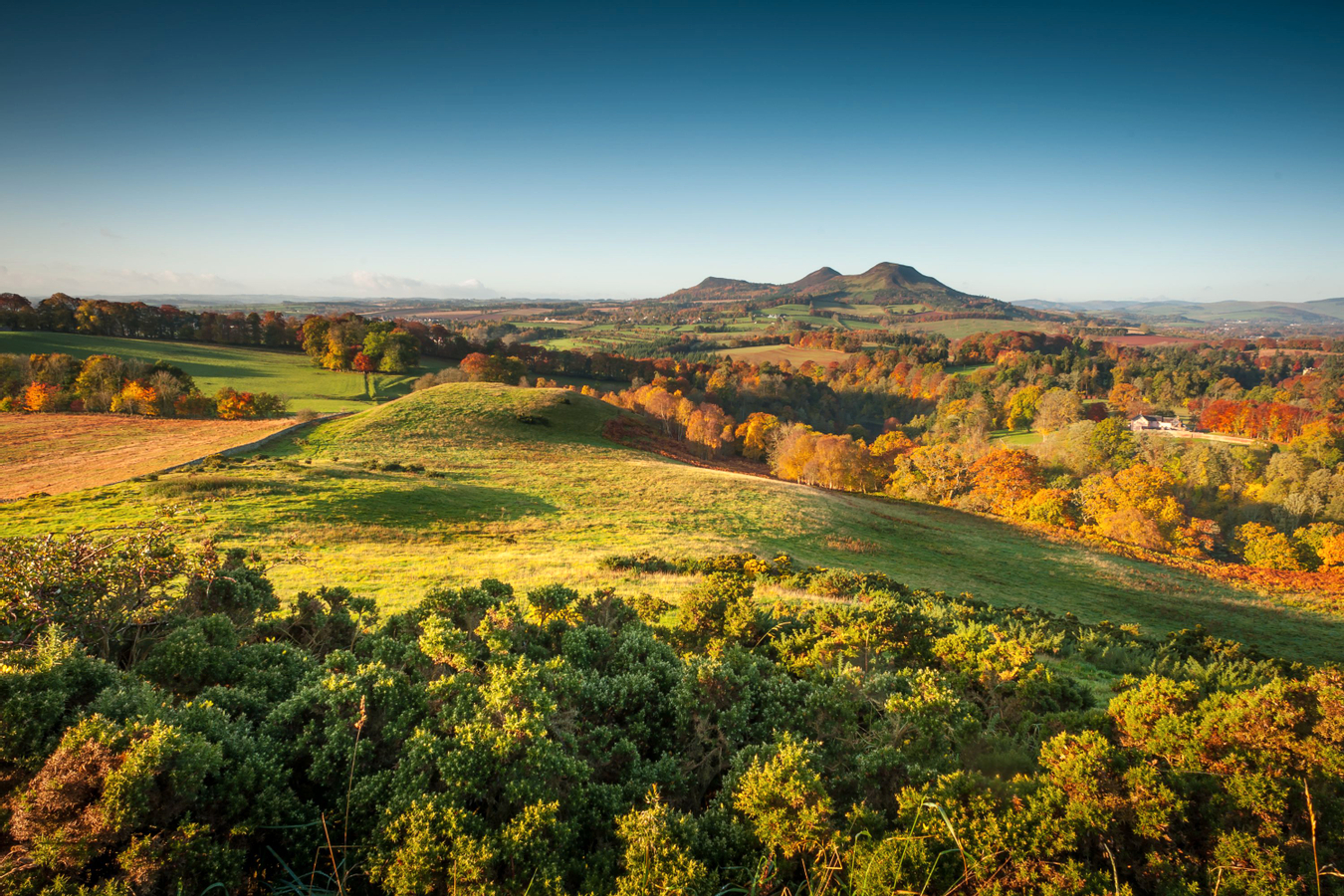 Hadrian's Wall, Roman Britain & the Borders Tour from Edinburgh ty9IBvBO