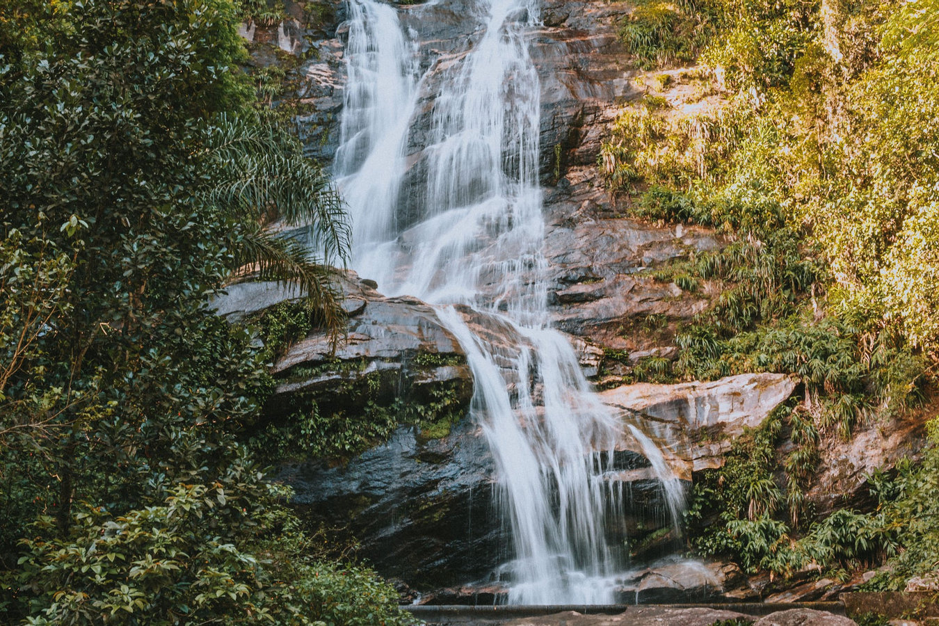 Tijuca Forest and Botanical Garden Tour in Rio de Janeiro bkuDCWkh