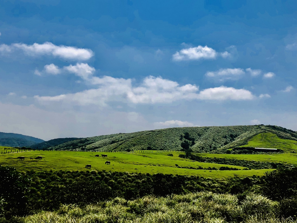 Yangmingshan Car Rental with Driver: Small Oil Pit ,Bamboo Lake ,Hot Spring Valley (Departing from Taipei) WJLRd8Nn