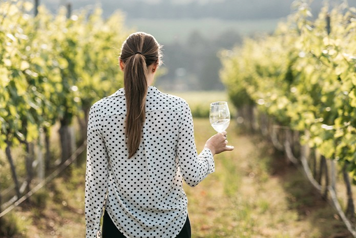 Hunter Valley Small Group Day Tour with Chinese Speaking Guide Ntq7Jf9R