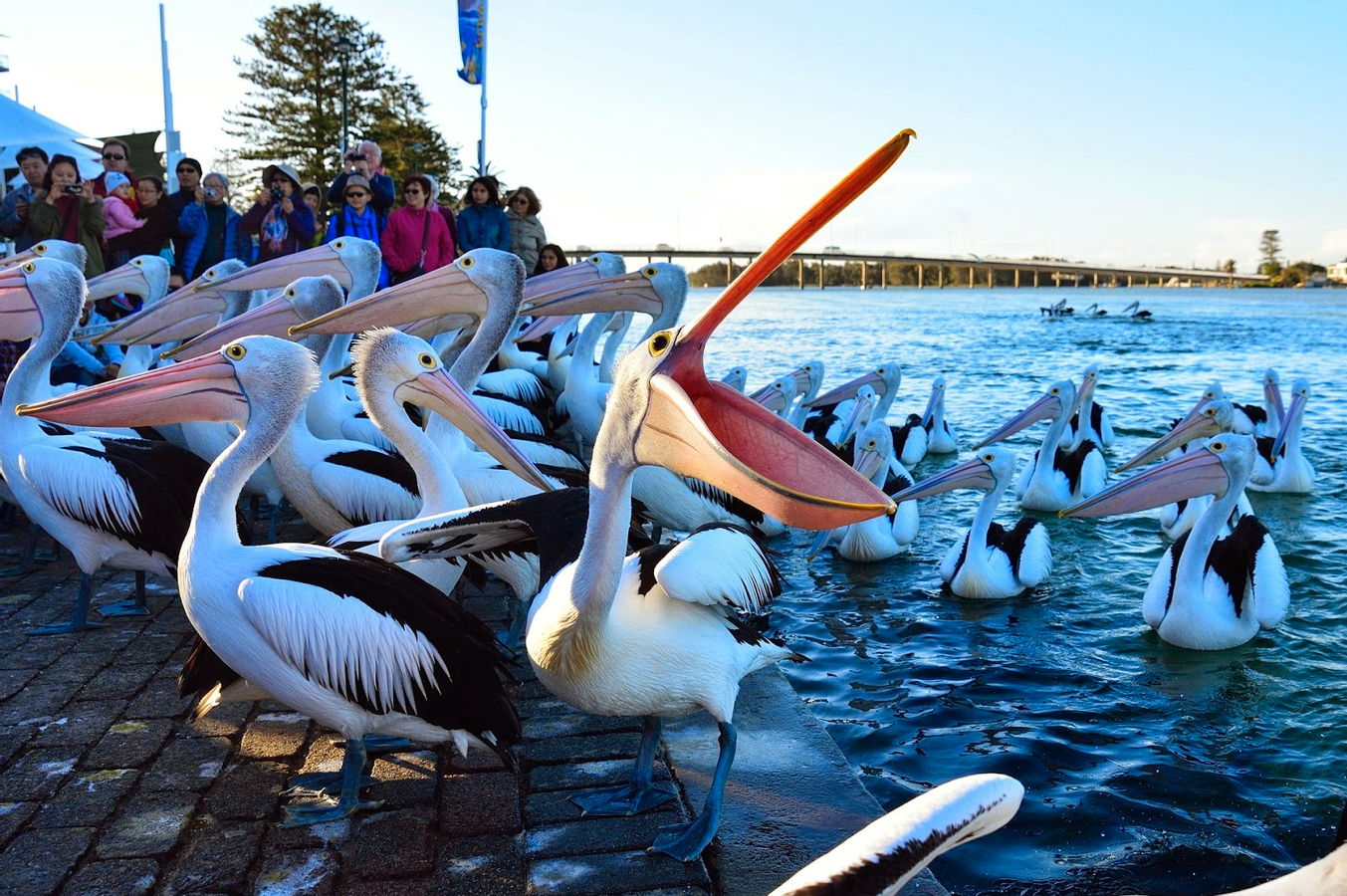 Hunter Valley Small Group Day Tour with Chinese Speaking Guide MYegiqqr
