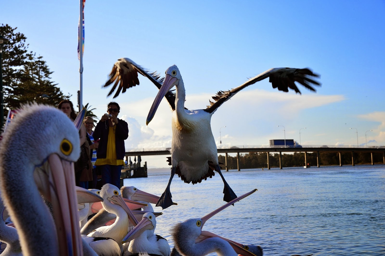 Hunter Valley Small Group Day Tour with Chinese Speaking Guide m7wgSYCr