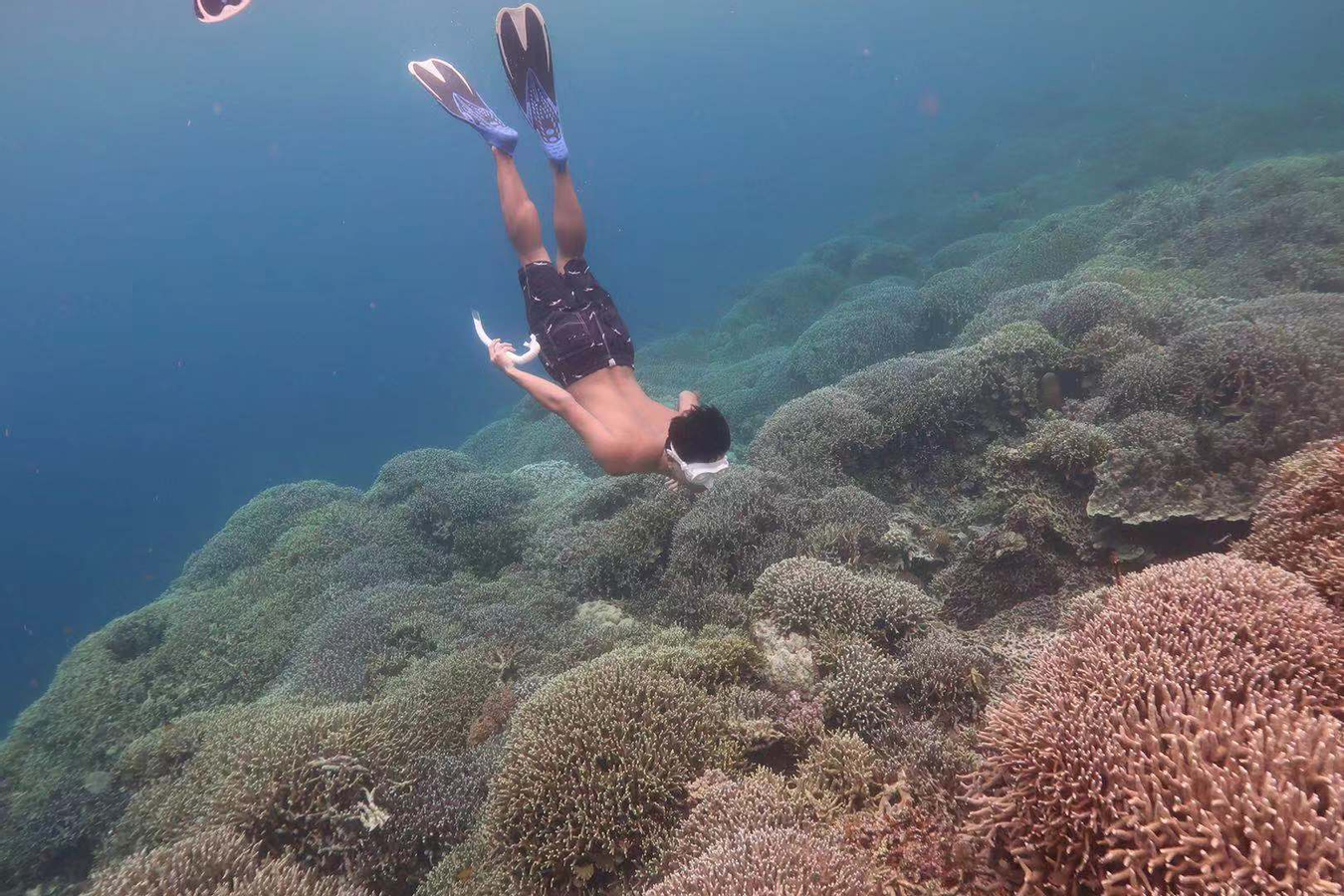 Pescador Island Hopping Private Tour from Cebu, Mandaue, Lapu Lapu, and Mactan Island cfD3qeaU