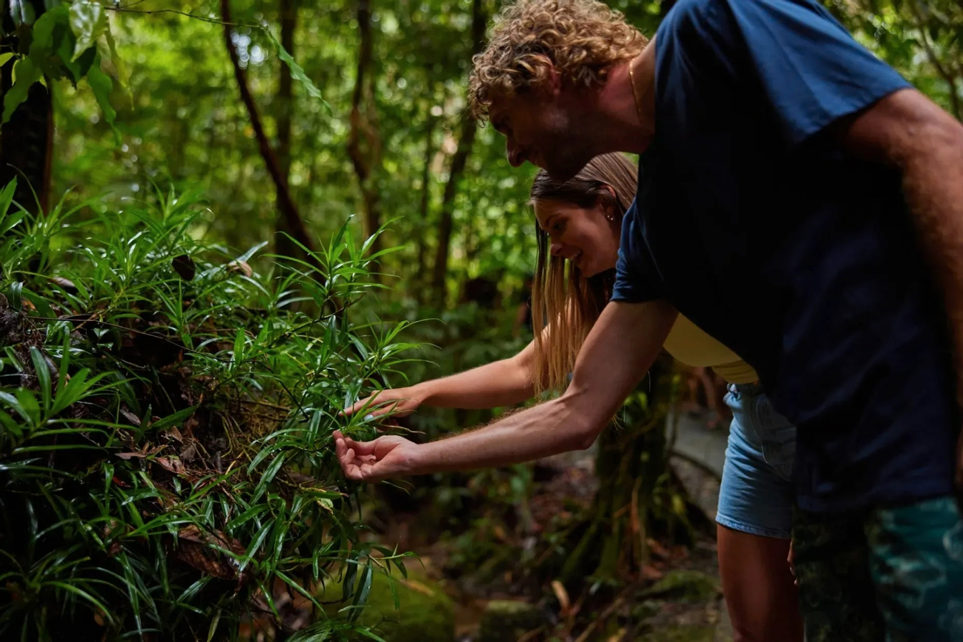 Explorer Tour- Cairns Waterfalls xbNocqkw