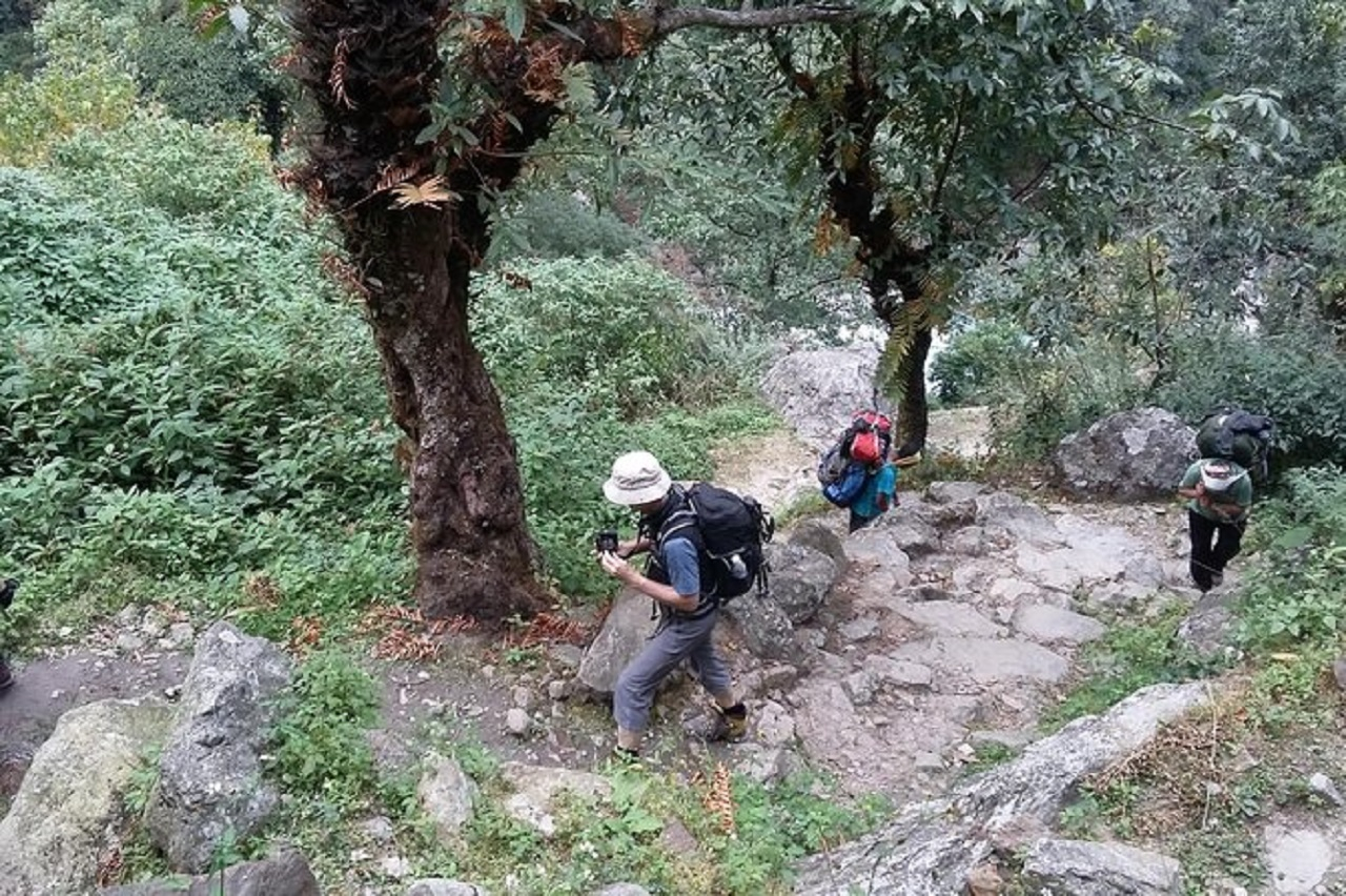 Mardi himal & Australian Camp Multi-day Trekking & Cultural Tour hMDUwm5h