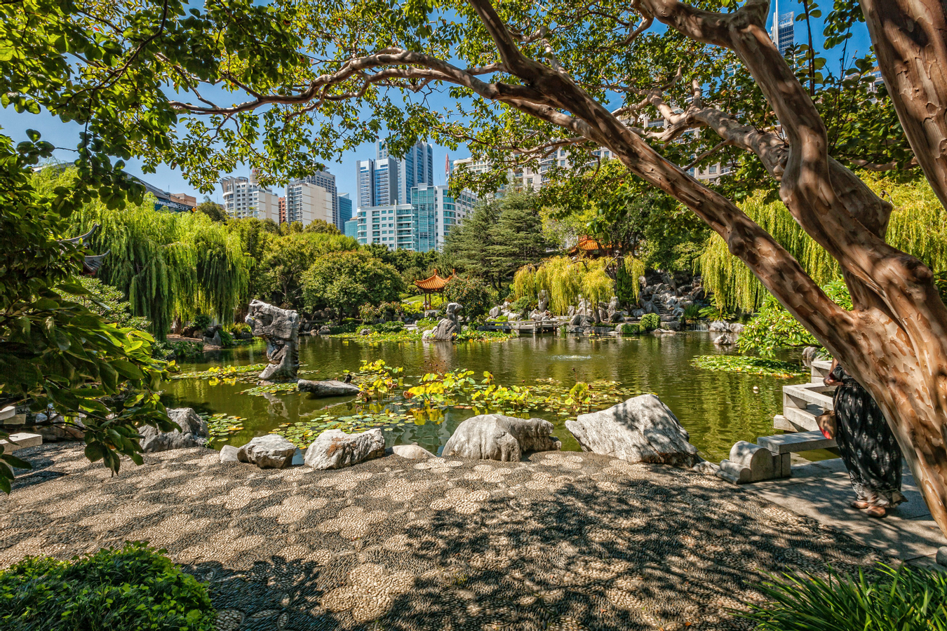Chinese Garden of Friendship Sydney Ticket p7PghHaw