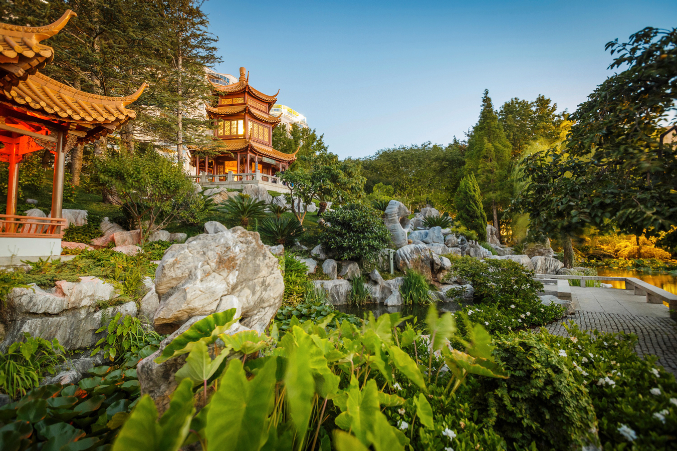 Chinese Garden of Friendship Sydney Ticket 4XhKyvtP-backdrop