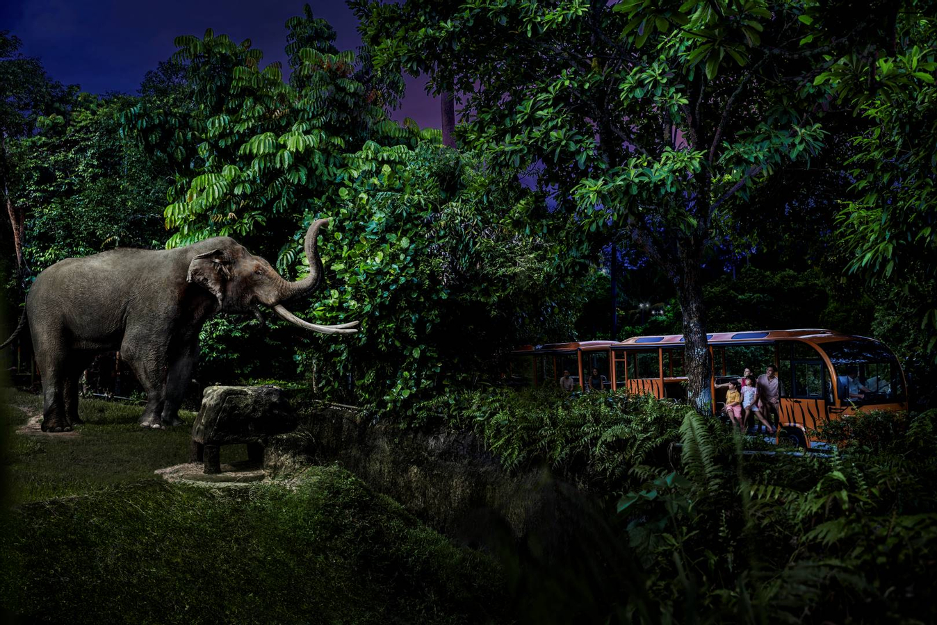 4-in-1 Park Hopper Plus: Singapore Zoo, River Wonders, Night Safari, Bird Paradise F63aQhhq