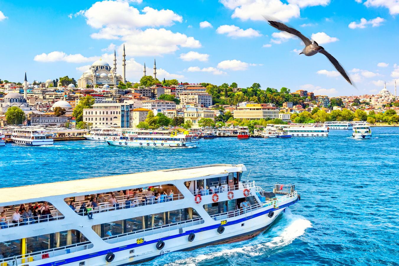 Bosphorus Guided Sightseeing Cruise h1lCMgdf