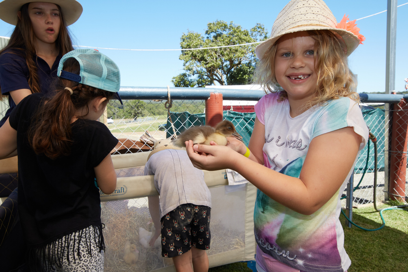 Farm Experience, Quad Biking and Horse Ride in Cairns n8i3Wp1M