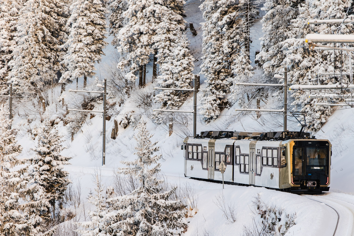 Mount Rigi - Queen of the Mountains Ticket BIQmGN3o