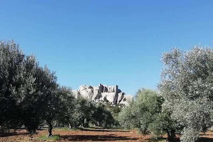 Saint Remy, Les Baux de Provence and Pont du Gard Tour from Avignon F9fxGeOU