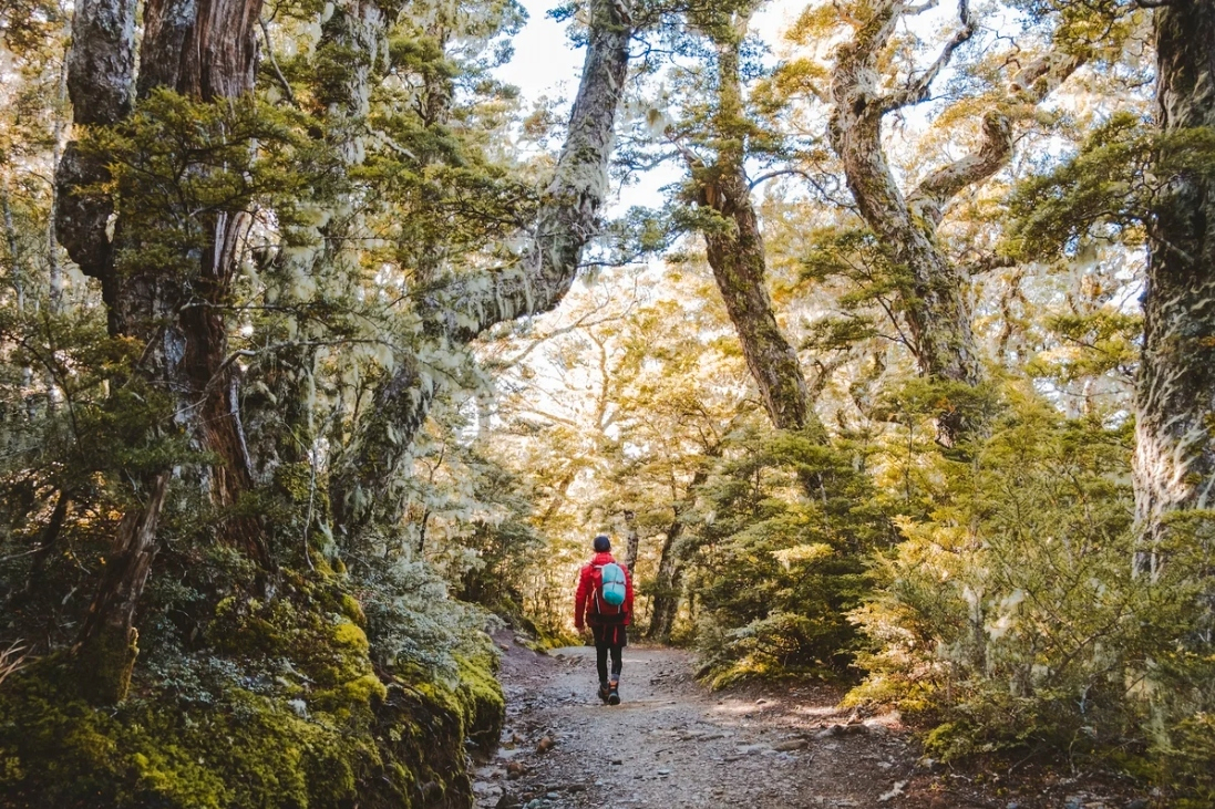 Kepler Track Day Walk by Water Taxi BiQEOhfg