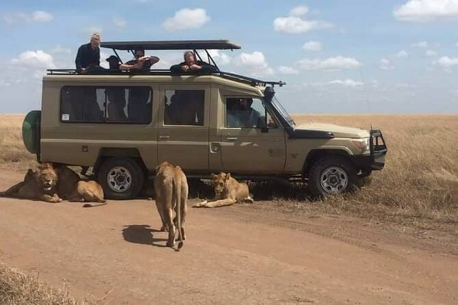 The Ultimate Masai Mara Safari Experience: 4-Day Big Five Adventure 26TdMxWI