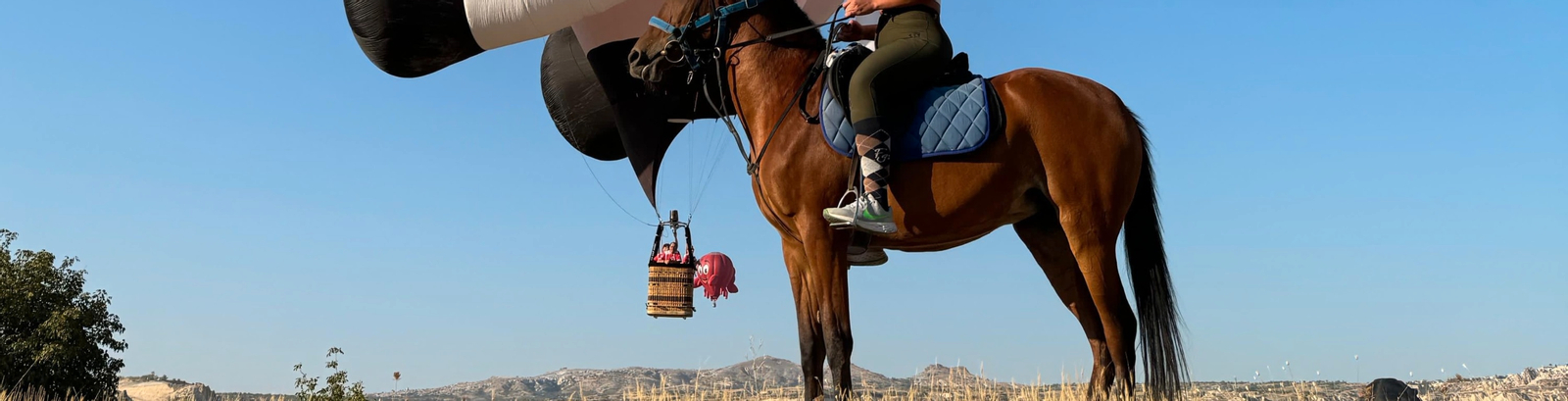 Sunrise or Daytime Horse Riding Tour in Cappadocia O6Sps4Pm