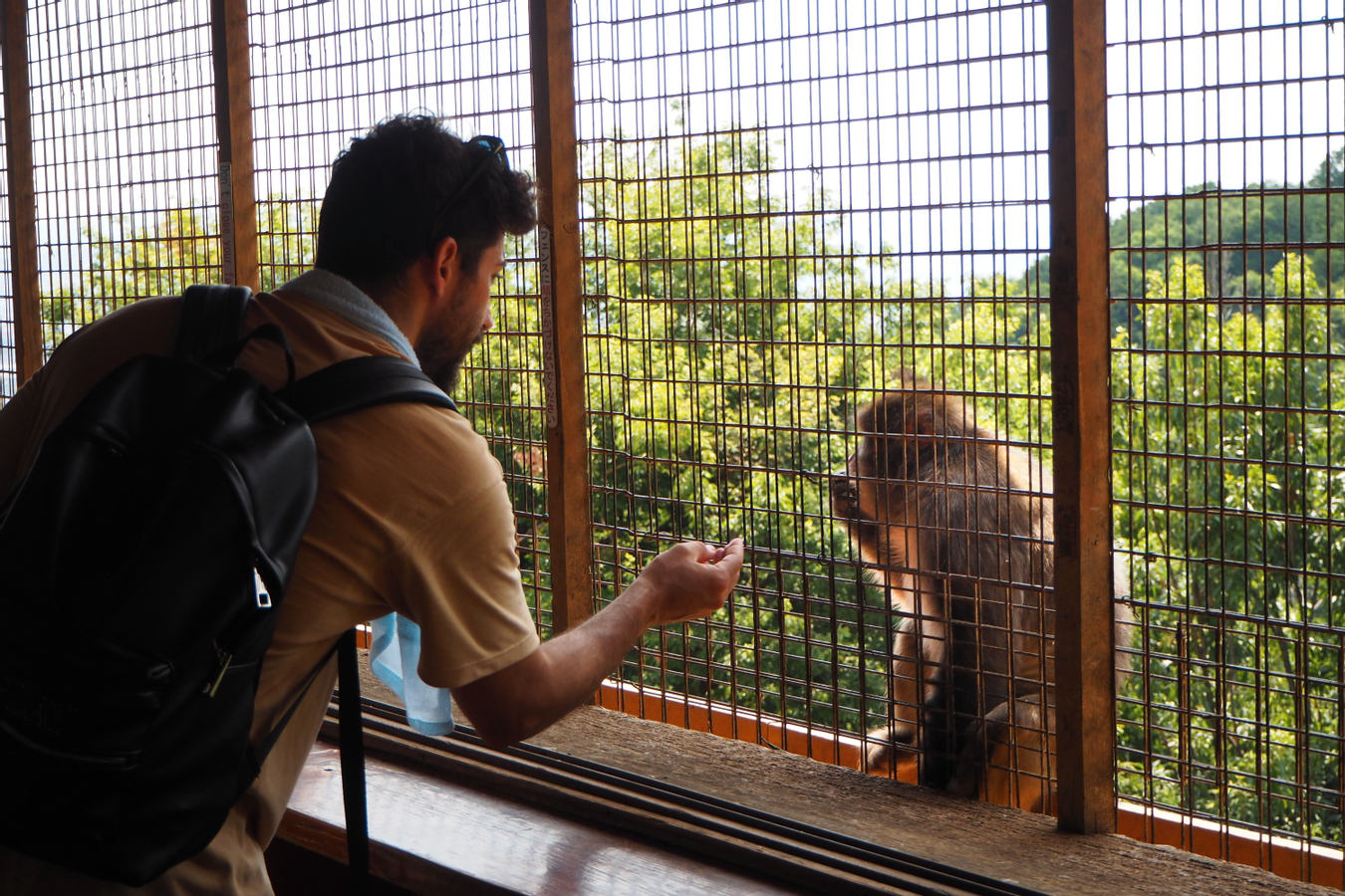 Kyoto City, Western Kyoto & Arashiyama Tour with Matcha Experience 1gUA5Op1