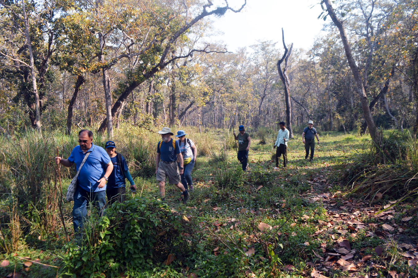 Chitwan Jungle Safari 2/3/4-Days Tour lYgeJ6pO