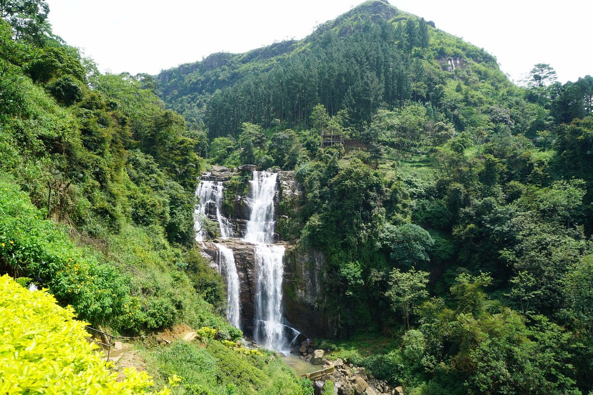 Kandy: Nuwaraeliya or Nanuoya Train Station Day Trip by Tuk Tuk rTtDcVOw