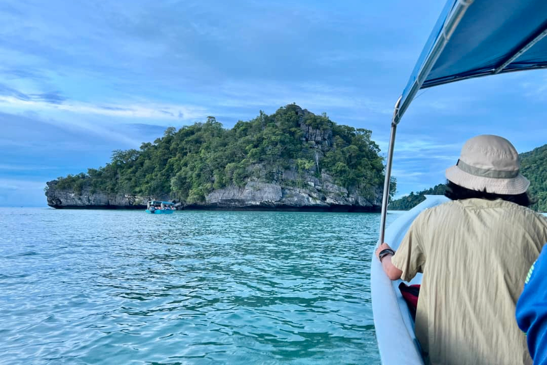 Night Safari Mangrove Tour with Transfers in Langkawi 3bG2pAay