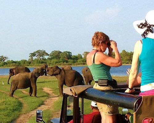 Ella, Kandy and Yala Safari - 2 days All Inclusive Tour from Colombo cNcB1FOP