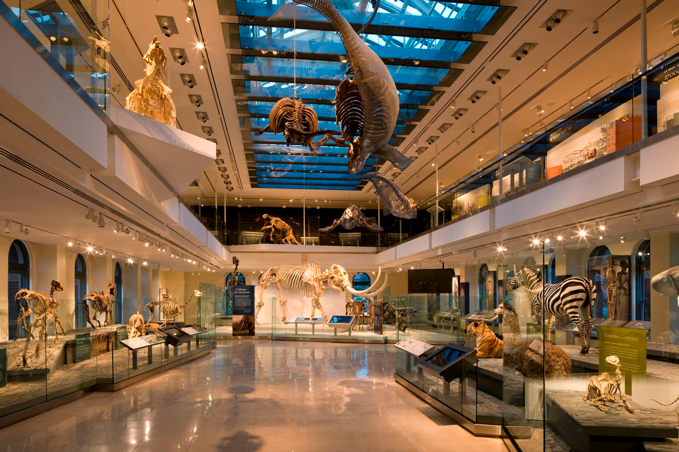 Go City Los Angeles Explorer Pass: Save up to 50% on Attractions QlZmwGhh