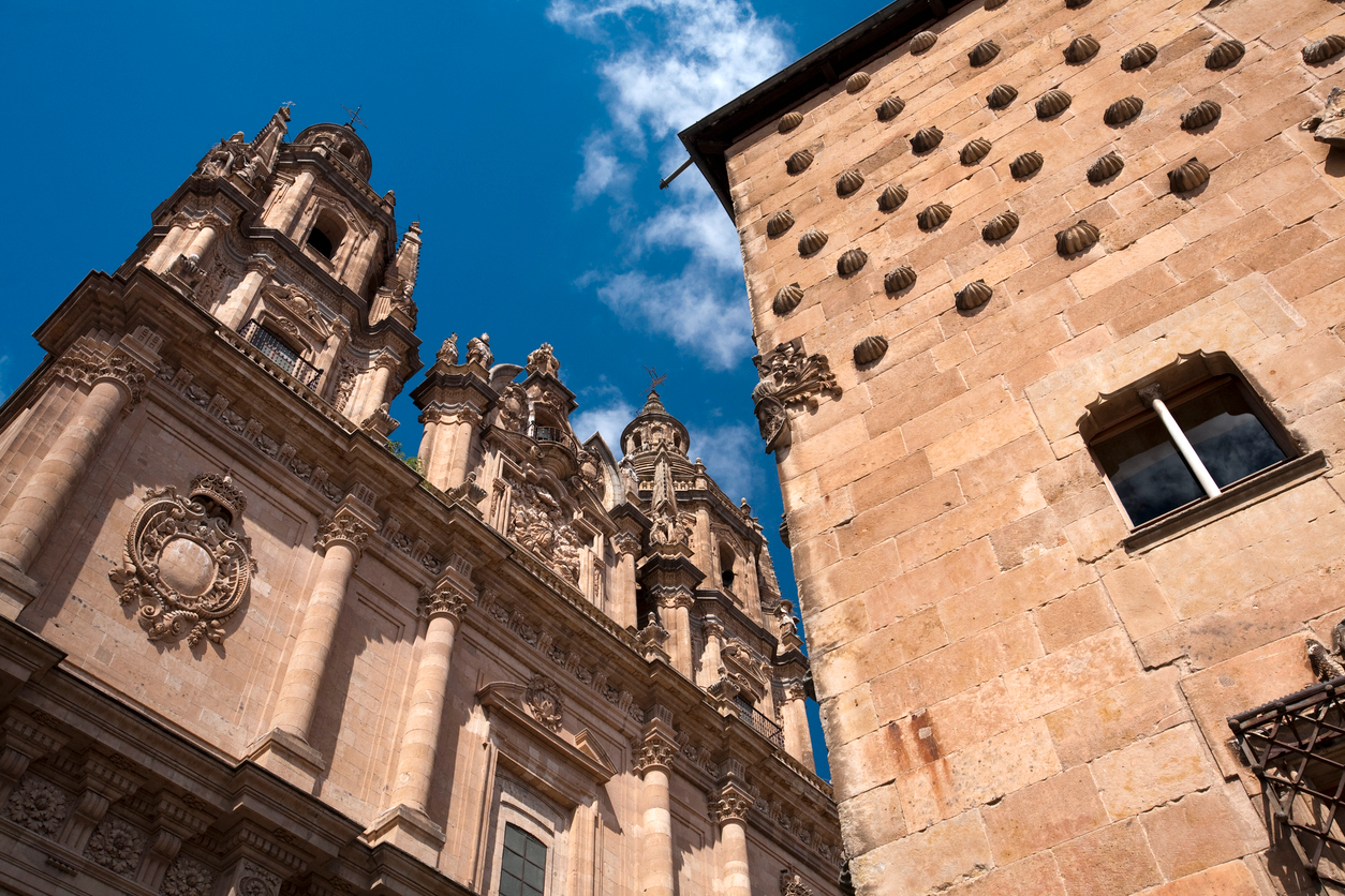 Discover Salamanca : Spain's Golden City Guided Tour with Free eSIM MVOSPOYR
