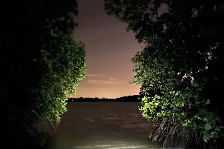 GLOW Clear Kayak Tour rmZoWUTT