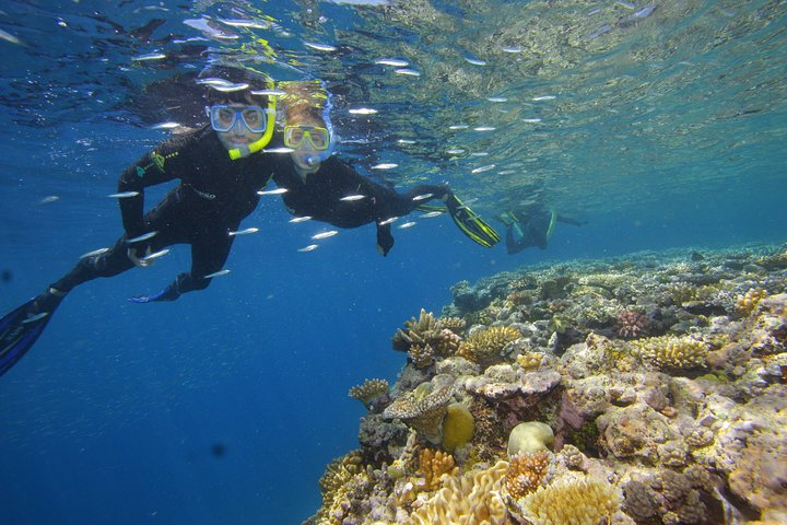 Calypso Outer Great Barrier Reef Cruise from Port Douglas nIEZw2mi
