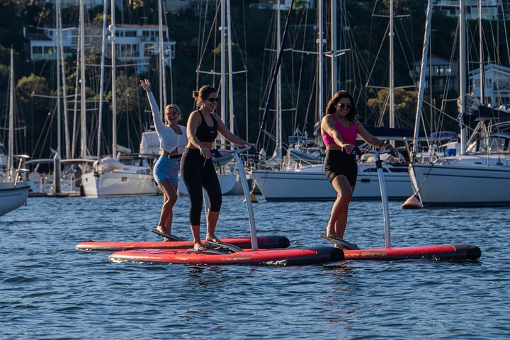 Guided Step-Up Paddle Board Tour of Narrabeen Lagoon 2kJtXcXN