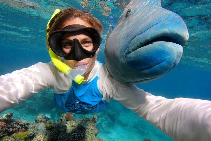 Calypso Outer Great Barrier Reef Cruise from Port Douglas SIPQ7OXX