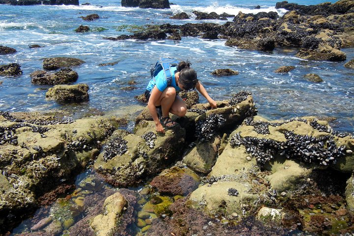 Oregon Coast Tour from Portland ZMGcCCfu