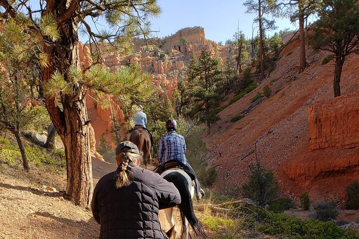 Ruby's Horseback Adventures Utah Thunder Mt. 4 Hour Ride Harga Promo ...