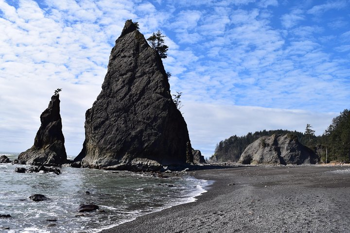 Hoh Rain Forest and Rialto Beach Guided Tour in Olympic National Park NjCUrUK0