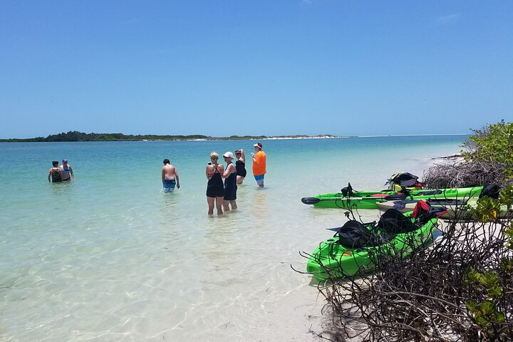 Guided Kayak Tour of Beautiful Shell Key Preserve 50% Off Tour Package