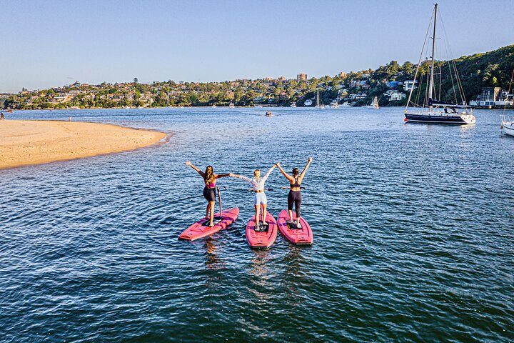 Guided Step-Up Paddle Board Tour of Narrabeen Lagoon nSR3nguL
