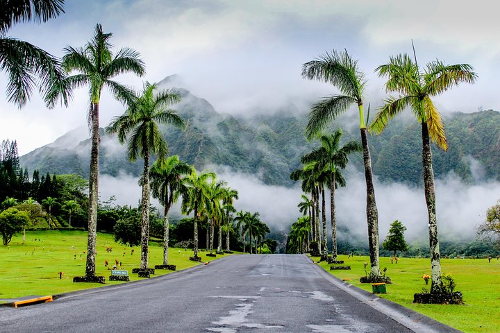 Private Oahu Van Tour HFbqJIK4