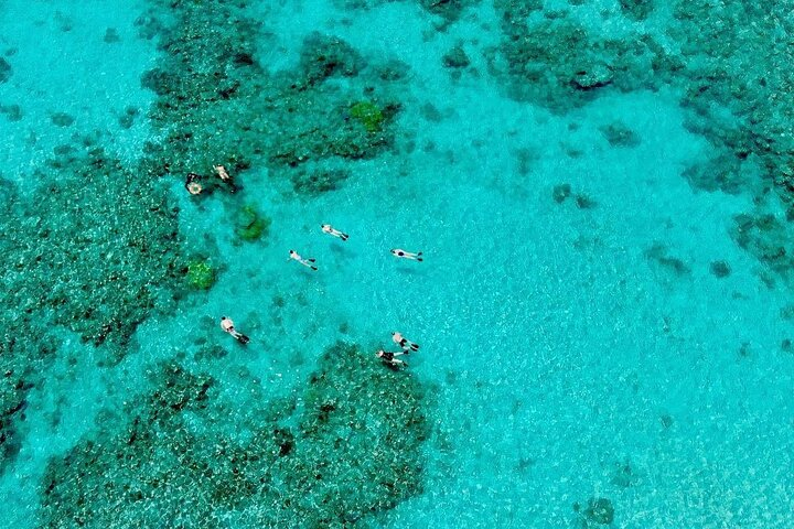 ABC Snorkel Charters Port Douglas Snorkelling max 12 passengers MDPiAjPX