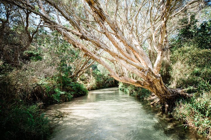 K'gari (Fraser Island) Explorer 2-Day Tour gzDCAAS3-backdrop
