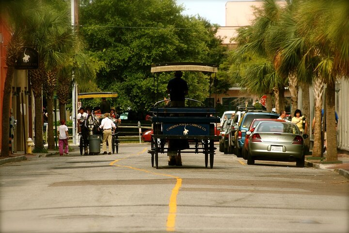 Charleston Horse & Carriage Historic Sightseeing Tour 749Oc5CU